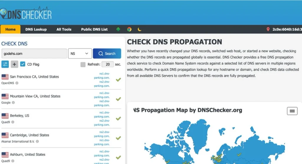 Verifying successful global DNS nameserver propagation using a free online NS record lookup tool.